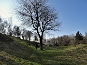 MONTE ZUCCO (1232 m) ad anello da S. Antonio Abb. (987 m) per la prima volta via Sonzogno (1108 m) - 31mar21 - FOTOGALLERY